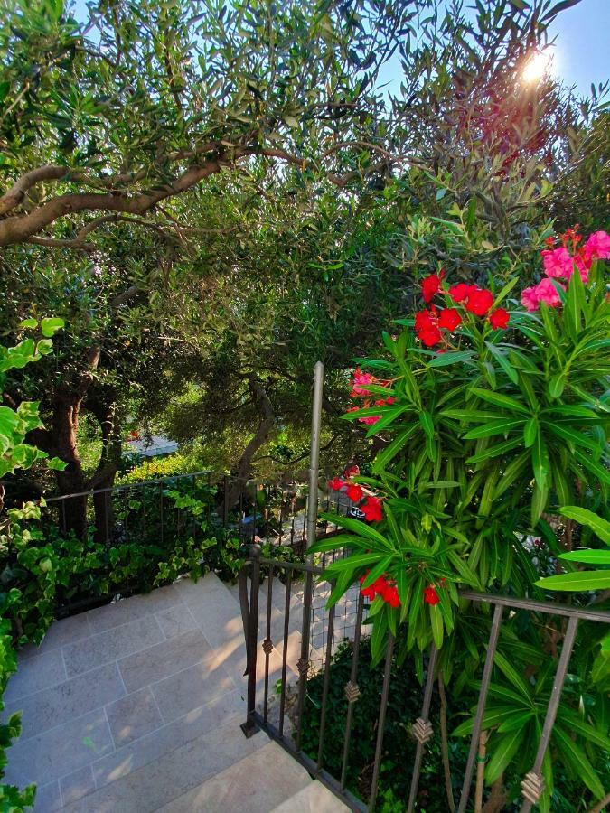 Apartmani Renata Brela Ngoại thất bức ảnh